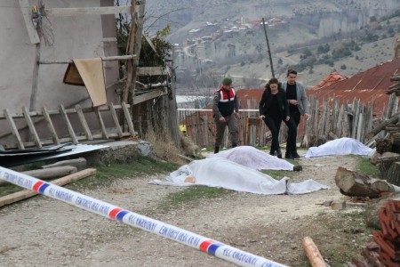 Bolu'da genç kızla papağanın inanılmaz dostluğu