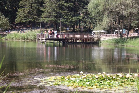 Bolu'da ahır, fırın evi, 2 samanlık, 2 bin saman balyası yandı