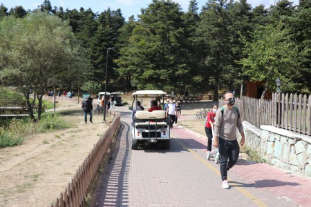 Bolu'da ahır, fırın evi, 2 samanlık, 2 bin saman balyası yandı