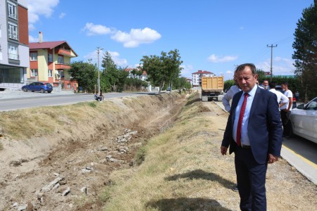 Bolu'da genç kızla papağanın inanılmaz dostluğu