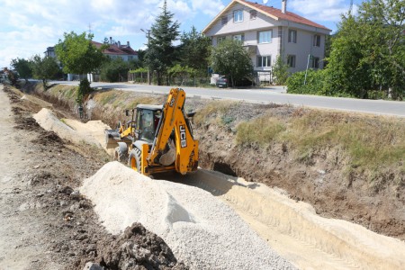 Bolu'da genç kızla papağanın inanılmaz dostluğu