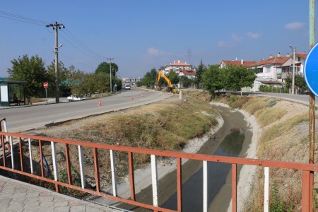 Bolu'da genç kızla papağanın inanılmaz dostluğu