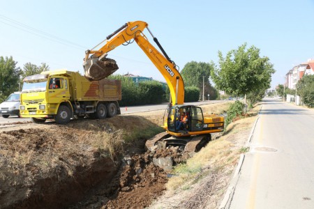 Bolu'da genç kızla papağanın inanılmaz dostluğu