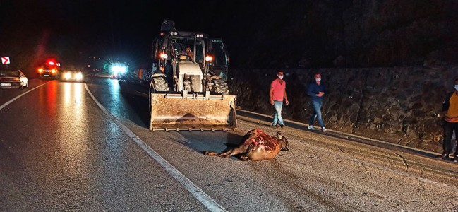 TEM’de soda taşıyan tıra arkadan çarptı: 4 yaralı