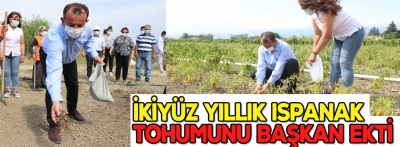 İki yüz yıllık tohumu Başkan ekti