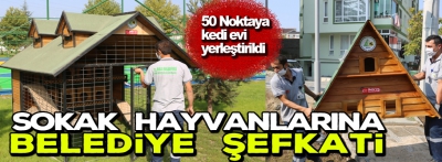 Sokak hayvanlarına Belediye şefkati 