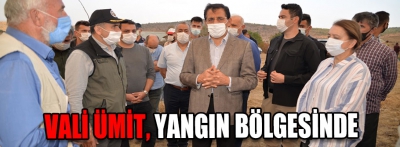 Vali Ümit yangın bölgesinde