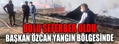 Bolu seferber oldu