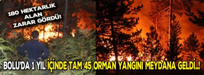 Bolu'da bir yıl içerisinde tam 45 orman yangını meydana geldi!