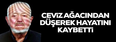 Ceviz ağacından düşerek öldü