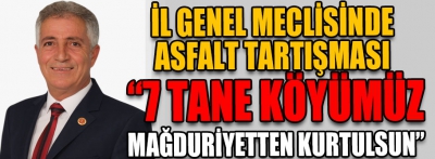 İl Genel Meclisinde asfalt tartışması