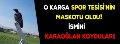 O karga spor tesisinin maskotu oldu!