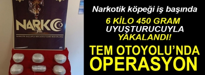 TEM Otoyulu'nda uyuşturucu operasyonu!