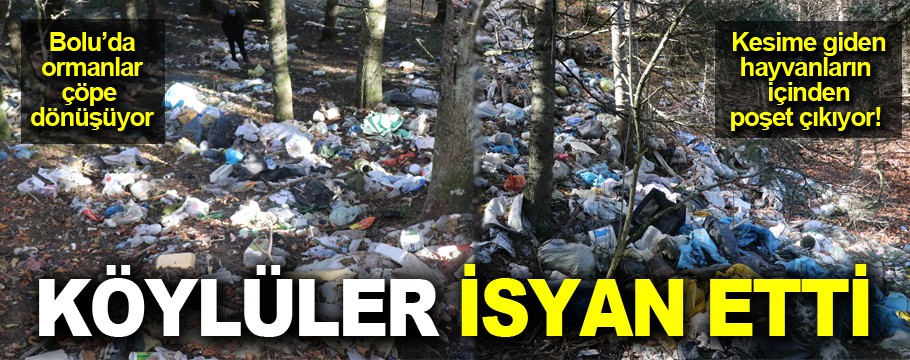 Köylüler atılan çöplere böyle isyan etti!