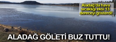 Göletin yüzeyi buz tuttu