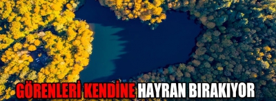 Görenleri kendine hayran bırakıyor