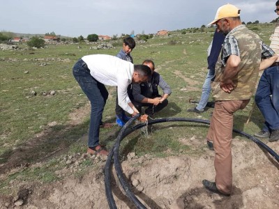 Bolu'da genç kızla papağanın inanılmaz dostluğu