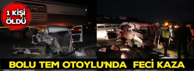 Bolu Tem Otoyolu'nda feci kaza 1 kişi öldü
