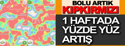 Bolu'da 1 haftada yüzde yüz artış!