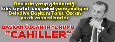 Devletin yazdığı yönetmeliği Başkan Özcan yazdı zannediyorlar