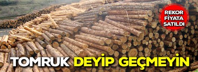 Tomruk deyip geçmeyin rekor fiyata satıldı