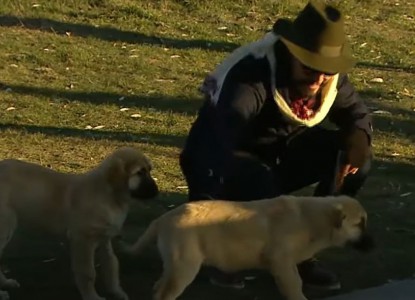 Klima takarken ikinci kattan düştü