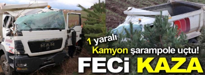 Kamyon şarampole uçtu!