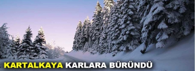 Kartalkaya karlara büründü