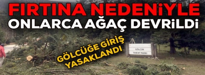 Bolu'da etkili olan fırtına nedeniyle onlarca ağaç devrildi