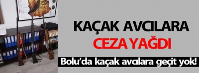 Bolu'da kaçak avcılara ceza yağdı!