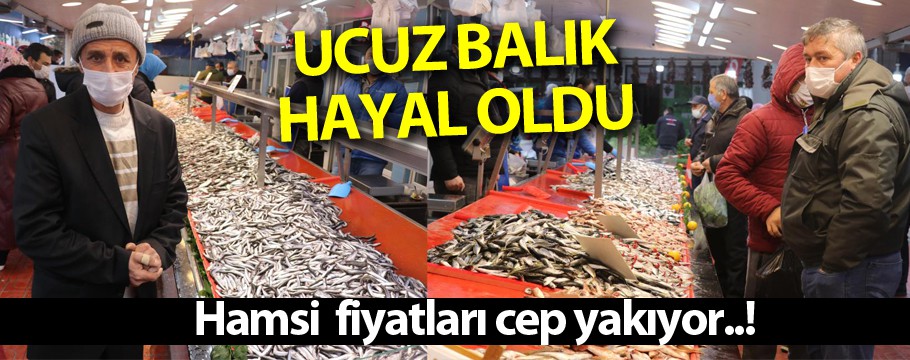 Hamsi'nin fiyatı fırladı