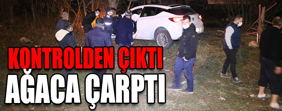 Kontrolden çıktı ağaca çarptı