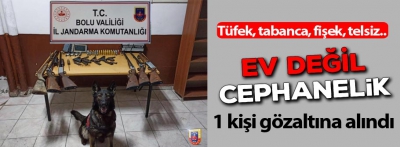 Ev değil cephanelik