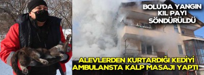 Yanan evden kurtarılan kediye ambulansta kalp masajı