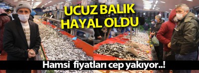 Hamsi'nin fiyatı fırladı