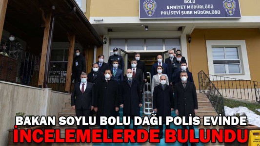 Bolu'da genç kızla papağanın inanılmaz dostluğu