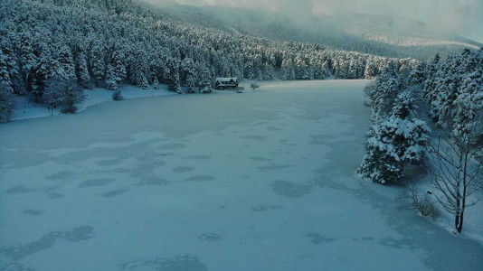 Bolu'da genç kızla papağanın inanılmaz dostluğu