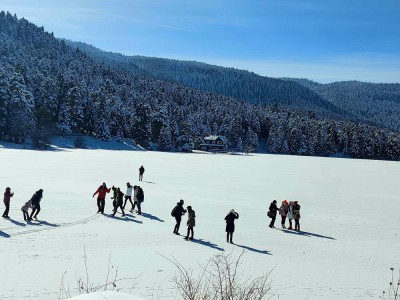 Bolu’da zincirleme kaza: 7 yaralı