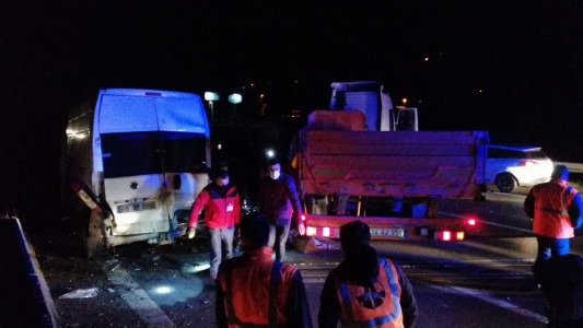 Bolu'nun meşhur ayısı çam ağacına tırmanırken görüntülendi