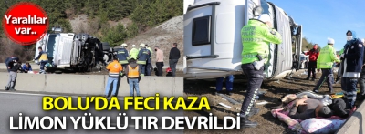 TEM'de limon yüklü tır devrildi