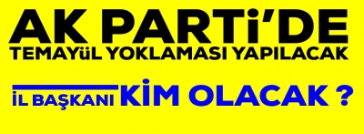 AK Parti'de temayül yoklaması 