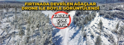 Bolu’da fırtınada yıkılan ağaçların hasar tespiti yapıldı