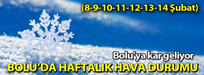 Bolu'da haftalık hava durumu (8/14 Şubat)