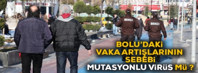 Bolu'da vakaların artmasının sebebi ne ?