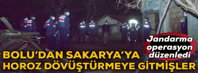 Bolu'dan Sakarya'ya horoz dövüştürmeye gitmişler