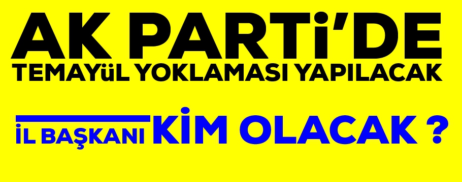 AK Parti'de temayül yoklaması