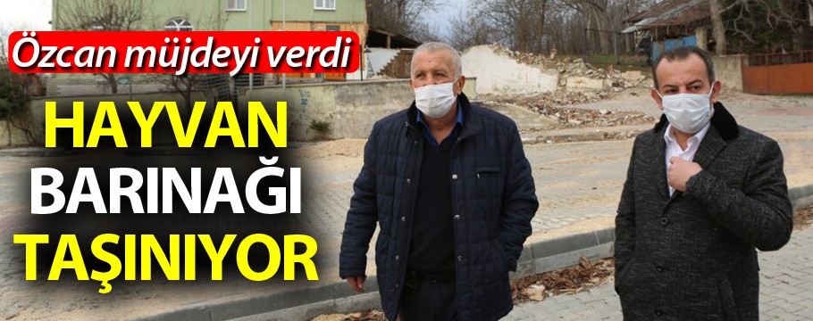 Özcan'dan Havyan Barınağı müjdesi