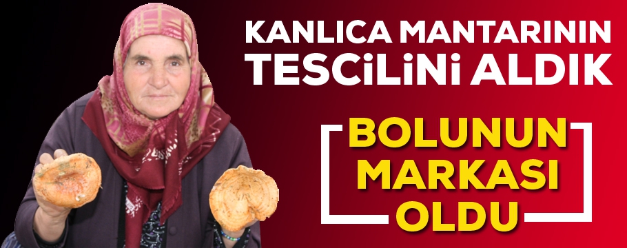 Kanlıca mantarı Bolunun markası oldu