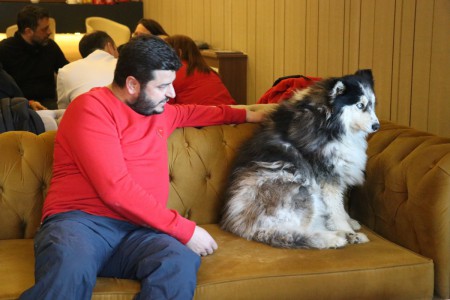 Bolu'da gasp olayına karışan motosikletli çetenin elebaşı yakalandı