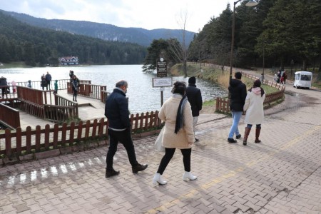 Bolu'da genç kızla papağanın inanılmaz dostluğu